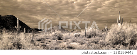 Panorama San Tan Mountains Sonora Desert Arizona in Infrared Panorama San Tan Mountains Sonora Desert Arizona in Infrared 128199442