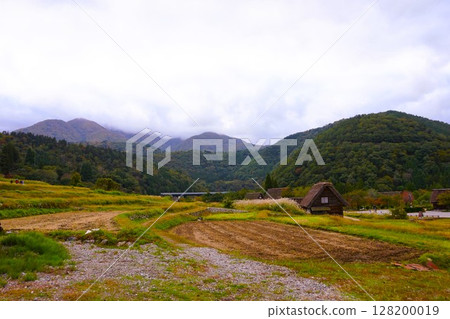 Ogimachi Gassho-style Village, World Heritage Site, Shirakawa-go, Thatched Roof 128200019