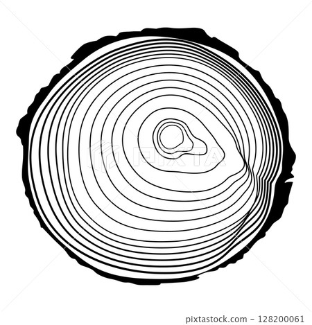 Wooden logs texture. Wood concepts graphics, lumber circle top view. Vintage outline tree ring stump, cut trees structure racy vector Wooden logs texture. Wood concepts graphics, lumber circle top view. Vintage outline tree ring stump, cut trees structure racy vector 128200061