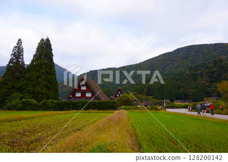 飛驒白川PA停車場 東海北陸高速公路風景 飛驒白川PA停車場 東海北陸高速公路風景 128200142