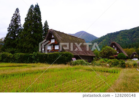 Hida Shirakawa PA Parking Area Tokai-Hokuriku Expressway Scenery Hida Shirakawa PA Parking Area Tokai-Hokuriku Expressway Scenery 128200148