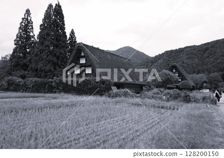 Hida Shirakawa PA Parking Area Tokai-Hokuriku Expressway Scenery 128200150