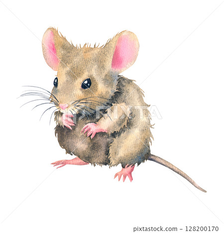 Watercolor illustration fluffy brown mouse with pink paws and ears, painted in cute and realistic style. For childrens products, storybooks, stationery, stickers, packaging, and animal-themed designs. Watercolor illustration fluffy brown mouse with pink paws and ears, painted in cute and realistic style. For childrens products, storybooks, stationery, stickers, packaging, and animal-themed designs. 128200170