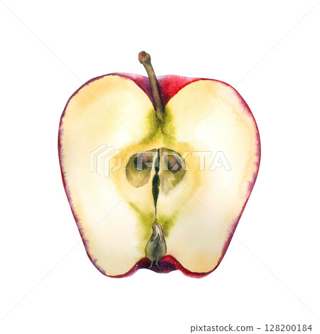 Watercolor illustration of a half ripe red apple with soft highlights and speckled texture. Suitable for food branding, eco packaging, farmers market design, seasonal decor, and wellness products. 128200184