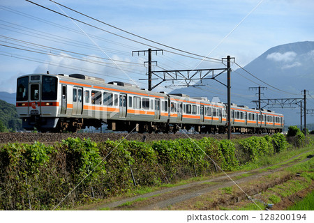 四列311系列本地列車最後一次亮相 128200194