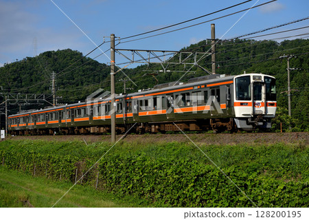 四列311系列本地列車最後一次亮相 128200195