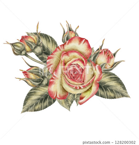 Yellow and pink roses, opened and closed buds leaf watercolor illustration. For decorating holidays, Mother's Day cards, Valentine's Day, weddings, birthdays, funerals in a realistic botanical style. Yellow and pink roses, opened and closed buds leaf watercolor illustration. For decorating holidays, Mother's Day cards, Valentine's Day, weddings, birthdays, funerals in a realistic botanical style. 128200302