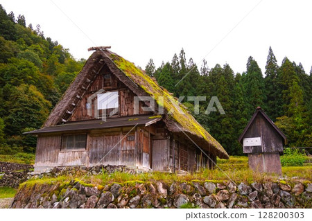 Ogimachi Gassho-style Village, World Heritage Site, Shirakawa-go, Thatched Roof Ogimachi Gassho-style Village, World Heritage Site, Shirakawa-go, Thatched Roof 128200303