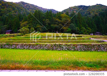 荻町合掌造村落、世界遺產、白川鄉、茅草屋頂 128200335