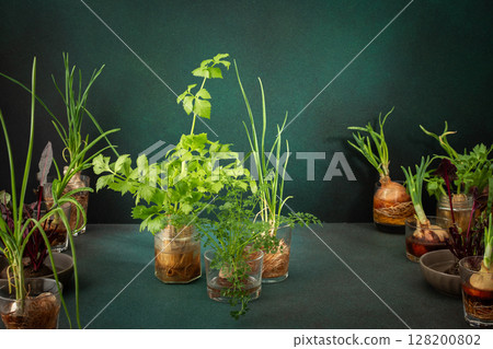 Growing from organic waste Growing from organic waste 128200802