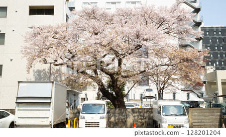 exterior of Sendai Asaichi Morning Market. it is the last morning market in Sendai. 128201204
