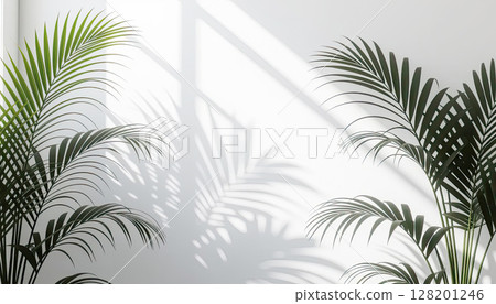 Tropical leaves natural shadow overlay on white texture background, backdrop and mockup, summer seasonal concept Tropical leaves natural shadow overlay on white texture background, backdrop and mockup, summer seasonal concept 128201246
