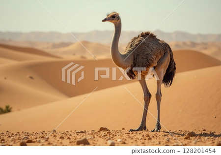 Ostrich stands on sand dune, desert bright sunny day background. AI Generative 128201454