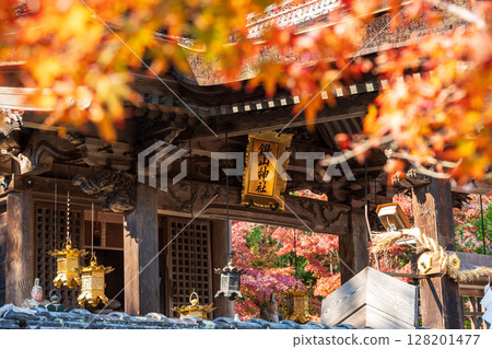 桑山神社的秋葉。京都府龜岡市。 桑山神社的秋葉。京都府龜岡市。 128201477