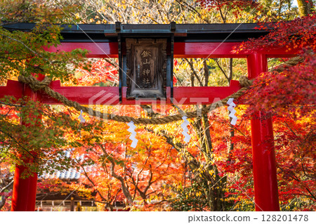 The torii gate of Kuwayama Shrine, framed by vibrant autumn foliage, Kameoka, Kyoto Prefecture 128201478