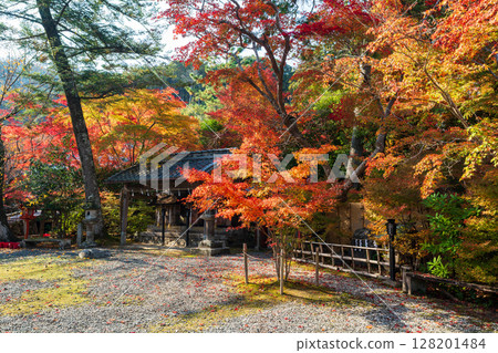 The tranquil grounds and gravel approach to Kuwayama Shrine are enveloped in autumn foliage. Kameoka, Kyoto Prefecture. 128201484