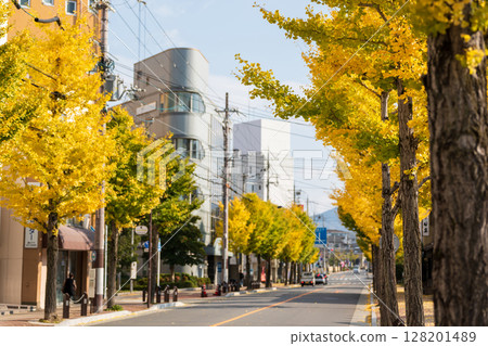 Bright yellow ginkgo trees line Knittelfeldstrasse in Kameoka, Kyoto Prefecture. Bright yellow ginkgo trees line Knittelfeldstrasse in Kameoka, Kyoto Prefecture. 128201489