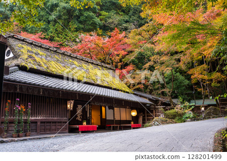 Hiranoya 是京都嵐山一家老字號餐廳,其標誌性的茅草屋頂上長滿了青苔。京都府京都市右京區 Hiranoya 是京都嵐山一家老字號餐廳,其標誌性的茅草屋頂上長滿了青苔。京都府京都市右京區 128201499