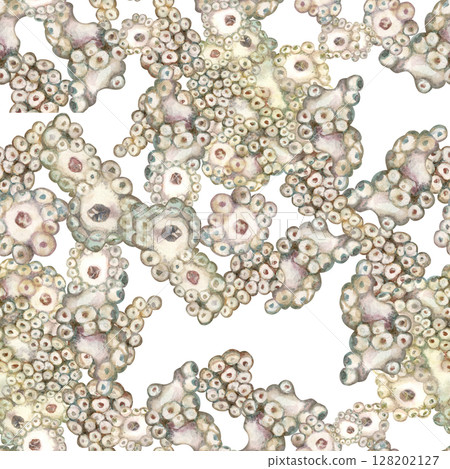 Seamless pattern of underwater sea sponges porifera. Watercolor illustration in gentle beige tones on white background for sea design, bed linen, blanket, wallpaper, packaging, towel, diving, crafts 128202127