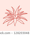 Agave desert plant. Hand drawn exotic Aloe vera succulent 128203048