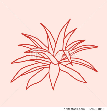 Agave desert plant. Hand drawn exotic Aloe vera succulent 128203048
