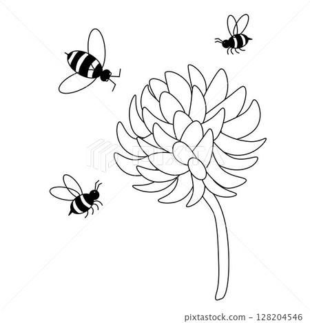 Clover wild flowers and bumblebee composition. Vector graphic line illustration. Natural products, honey, farmers market, homeopathy,beauty store, herbal or honey cosmetics and spa treatment. 128204546
