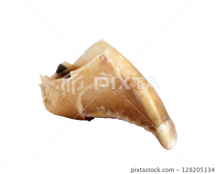 sweet for dog sweet for dog 128205134