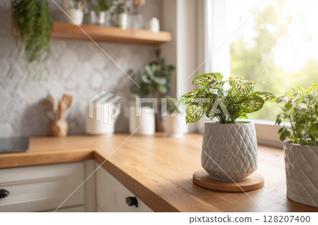 Houseplant in pot placed on wooden kitchen countertop near window 128207400