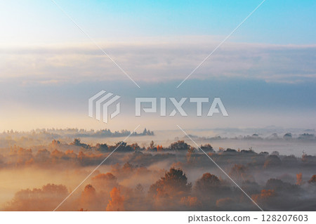 Autumn forest landscape with morning fog. High angle. Air view 128207603