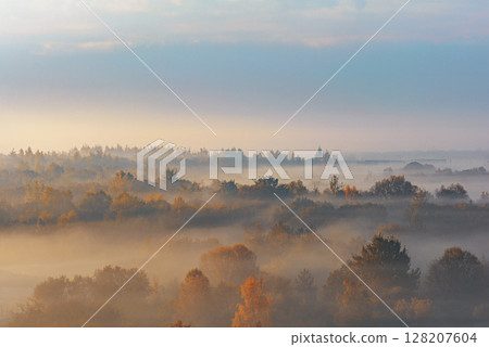 Autumn forest landscape with morning fog. High angle. Air view Autumn forest landscape with morning fog. High angle. Air view 128207604