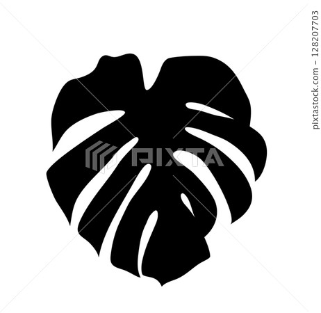 Vector Bold black exotic silhouette of a monstera deliciosa leaf, capturing the essence of tropical flora with its iconic fenestrations 128207703
