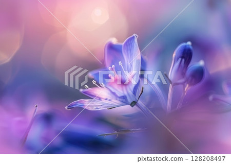 Close-up of Vibrant Pink and Purple Flower with Soft Bokeh Background 128208497