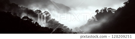 Mist-covered hills dotted with trees, enveloped in fog and shadows. Concept of mystery and nature. For landscape art. 128209251