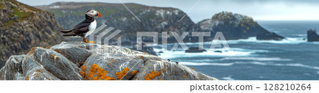 Puffin stands on rocky cliff edge with ocean waves in background. Concept of nature and wildlife beauty. For nature photography. Puffin stands on rocky cliff edge with ocean waves in background. Concept of nature and wildlife beauty. For nature photography. 128210264