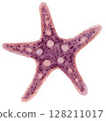 Watercolor sketch of light purple fantasy star shape seashell  128211017