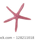 Watercolor sketch of light purple fantasy thin star shape seashell 128211018