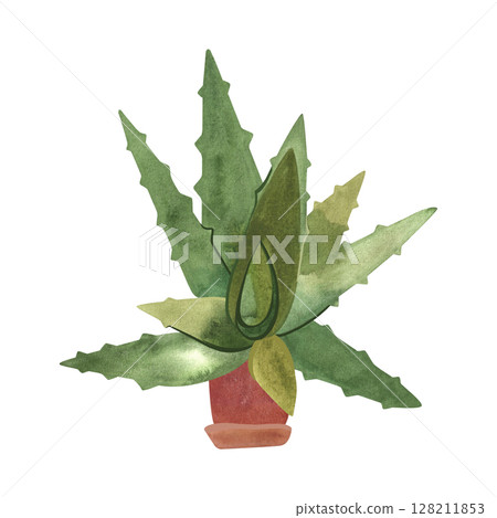 Aloe in a ceramic pot. Houseplant for alternative medicine. Succulent. Plant growing is a popular hobby. Isolated watercolor illustration. Aloe in a ceramic pot. Houseplant for alternative medicine. Succulent. Plant growing is a popular hobby. Isolated watercolor illustration. 128211853
