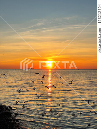 Scenic sunset over the sea. The sun sets on the water. The sky is painted with bright colors. Seagulls fly over the water. Summer evening. Sunset beach. Vertical photo. 128212504