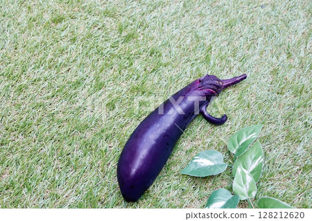草坪上擺放著形狀獨特的天狗茄子 128212620