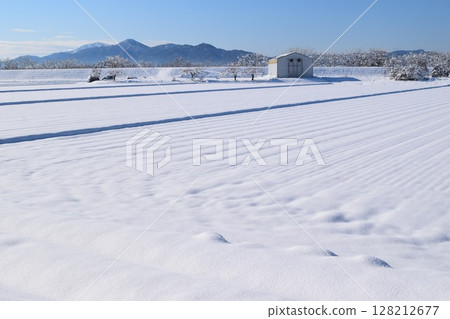東北地區山形縣莊內的雪景 東北地區山形縣莊內的雪景 128212677