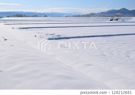 東北地區山形縣莊內的雪景 128212681