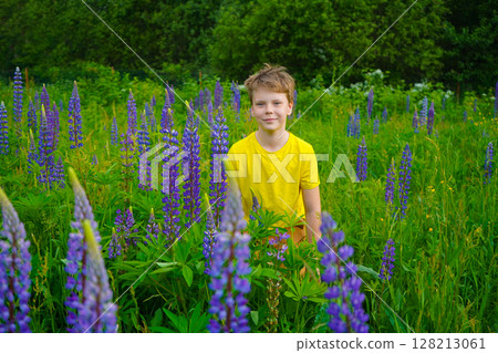 A joyful boy in a yellow T-shirt stands in a field of lupines, smiling happily. The vibrant flowers and bright sky create a cheerful, lively atmosphere perfect for stock images. The scene captures 128213061