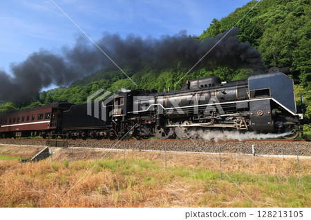 SL Yamaguchi D51 9966 128213105