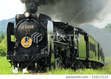 SL Yamaguchi D51 1567 SL Yamaguchi D51 1567 128213115