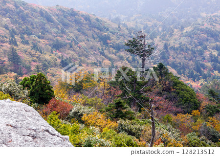 Autumn leaves from Taiko Rock in Yakushima National Park (Autumn) Autumn leaves from Taiko Rock in Yakushima National Park (Autumn) 128213512