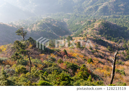 Beautiful autumn foliage in Yakushima National Park (November) - A spectacular view from Taiko Rock 128213519