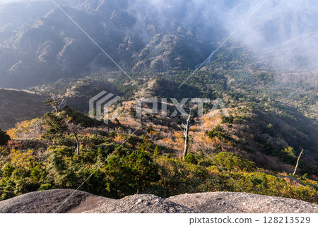 Beautiful autumn foliage in Yakushima National Park (November) - A spectacular view from Taiko Rock 128213529