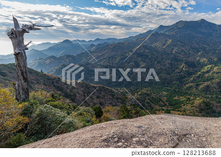 Colored Trees, Taiko Rock, Skeleton Trees and the Offshore Alps of Yakushima (Autumn) Colored Trees, Taiko Rock, Skeleton Trees and the Offshore Alps of Yakushima (Autumn) 128213688