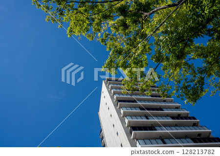 Cityscape with greenery, blue sky and apartment buildings Cityscape with greenery, blue sky and apartment buildings 128213782