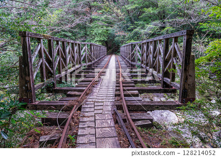 Yakushima Offshore Alpine Stroke Bridge (November) Island Heritage 128214052